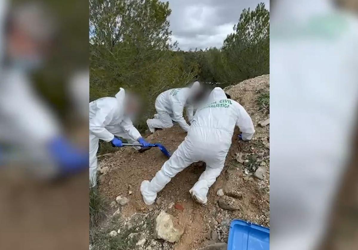 Imagen principal - Cae una red de narcos asentada en Alicante a la que atribuyen un asesinato en la provincia de Granada