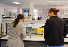 Personal en el Servicio de Análsisi Clínicos del Hospital General de Alicante.