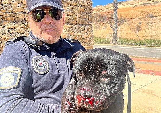 El agente de la Policía Local de Alicante con el cachorro herido tras el rescate.