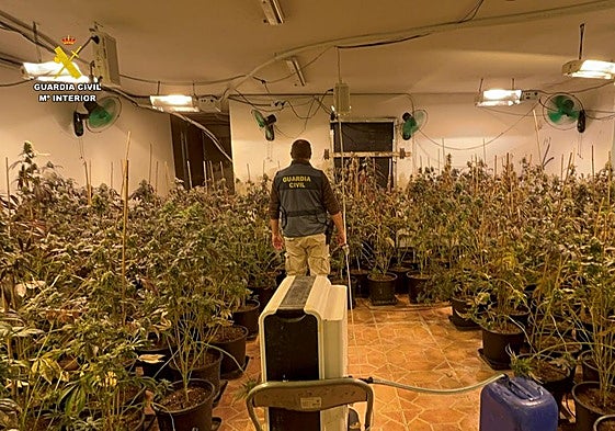 Imágenes de la 'Operación Alrrebo 25'.