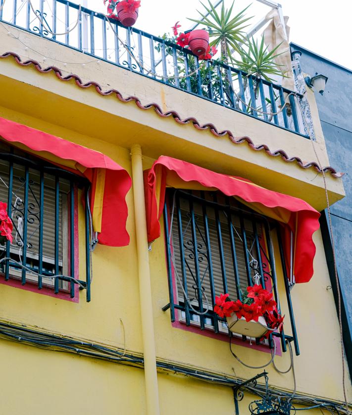 Imagen secundaria 2 - Details of the most patriotic house in Spain.