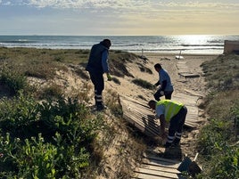 Trabajos de adecuación en los arenales de Elche.