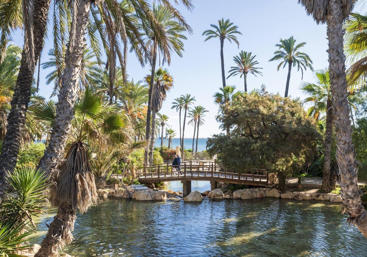 Parque de El Palmeral de Alicante.
