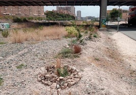 Jardín plantado por los vecinos.