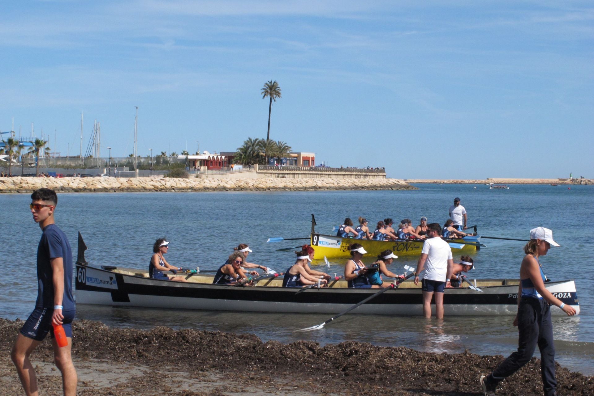 Dénia celebra la novena regata de la Liga Suma de remo de banco fijo