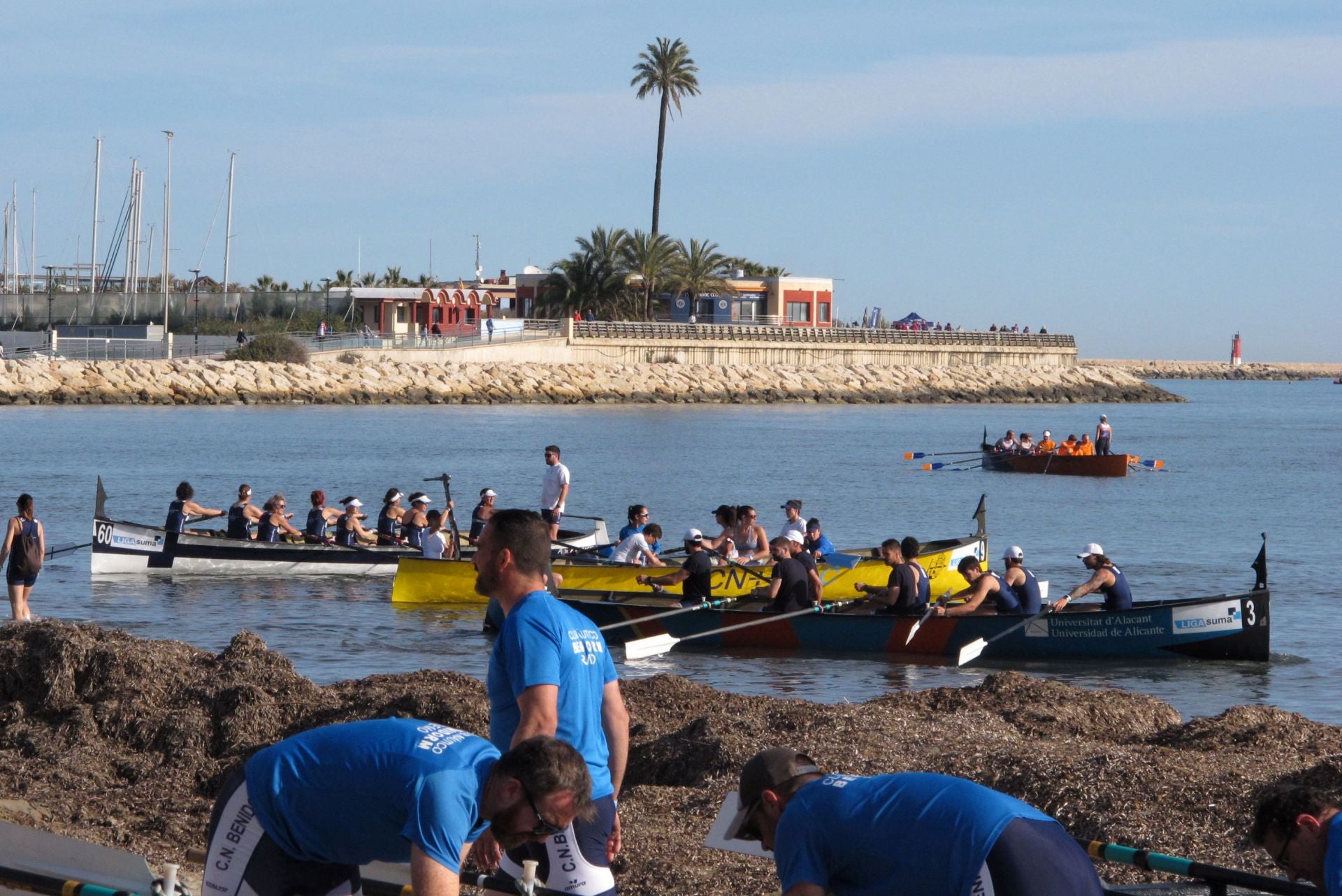 Dénia celebra la novena regata de la Liga Suma de remo de banco fijo