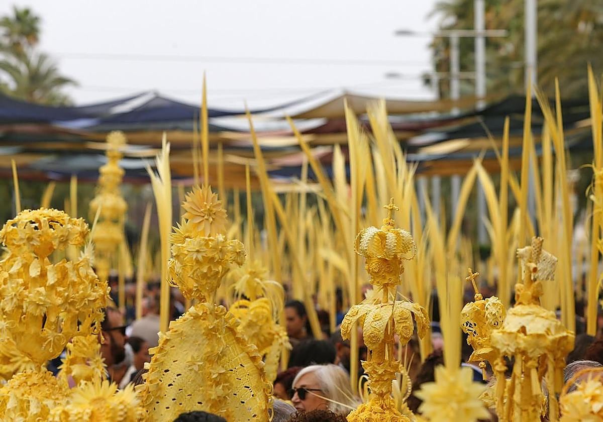 Procesión de las Palmas en Elche.