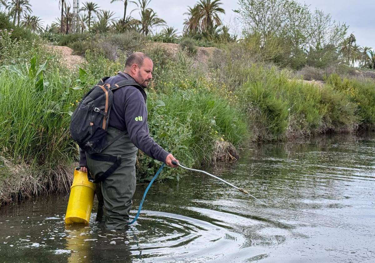 Mosquito fumigation work in Elche.