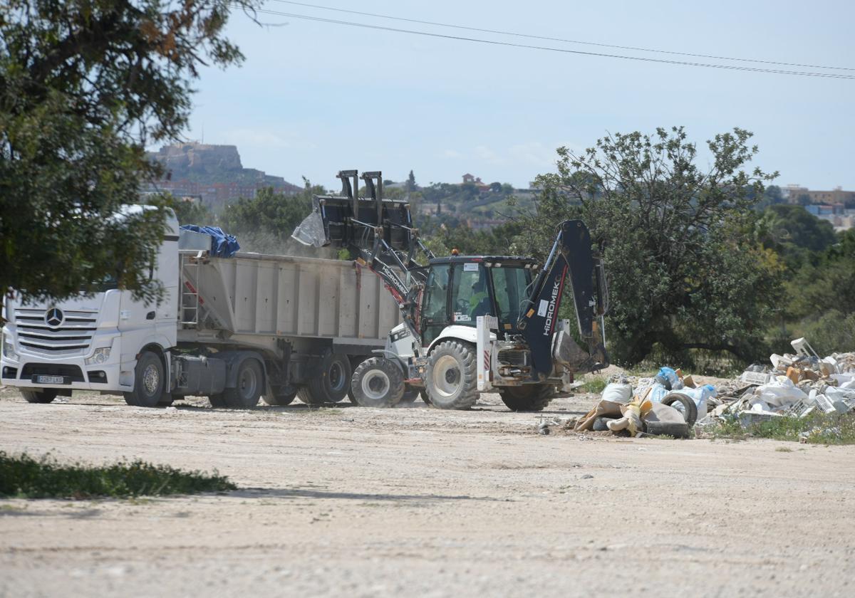Alicante cleans the surroundings of Santa Faz two weeks before the massive pilgrimage