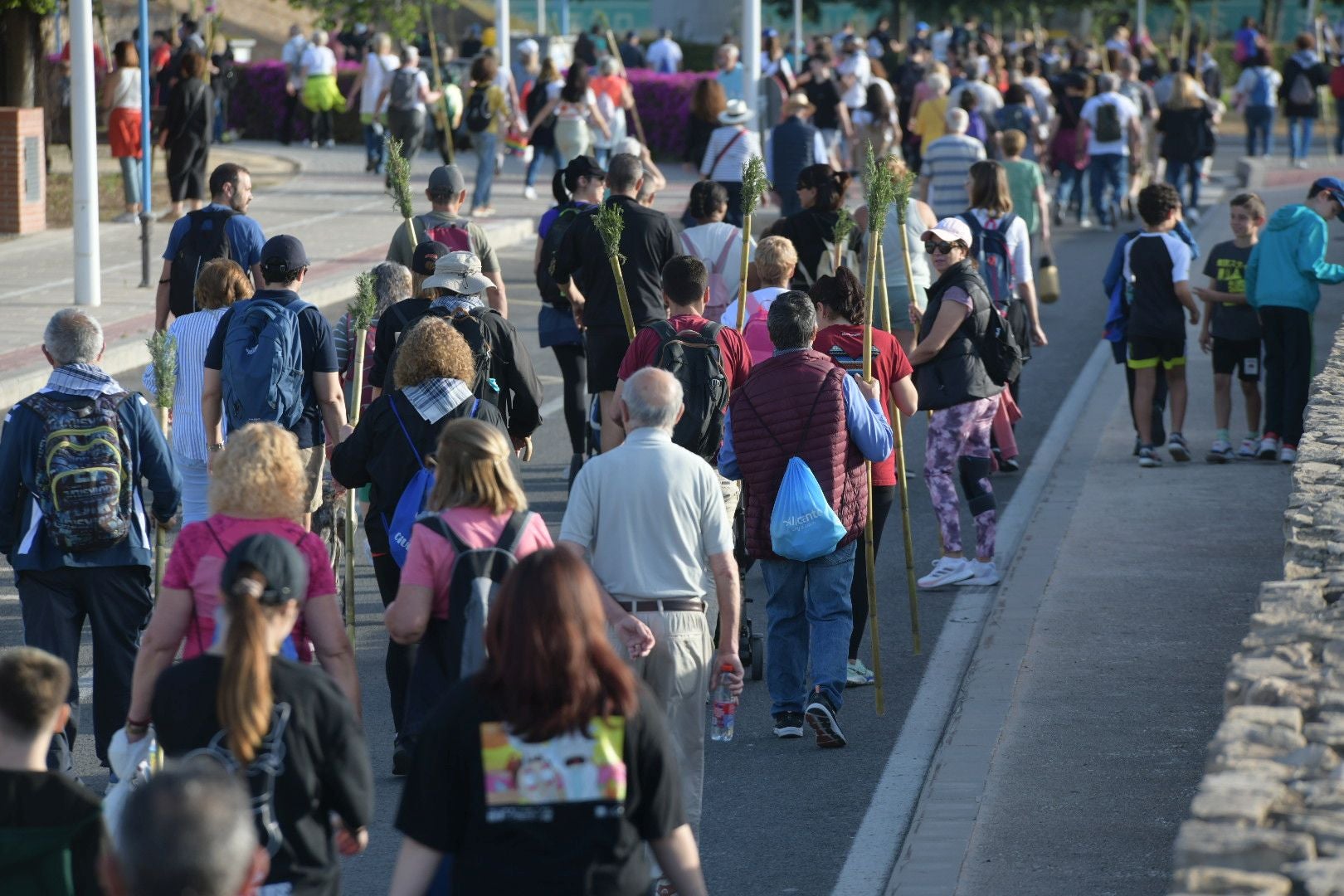 Búscate en las imágenes de la romería de la Santa Faz 2025