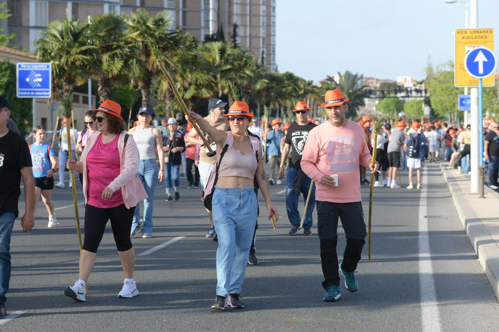 Búscate en las imágenes de la romería de la Santa Faz 2025