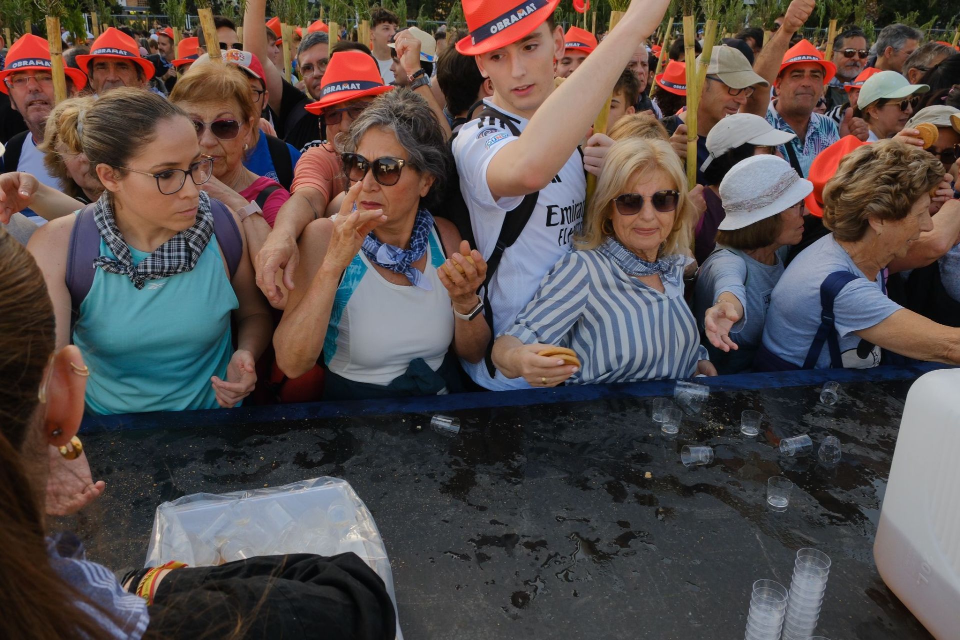 Búscate en las imágenes de la romería de la Santa Faz 2025