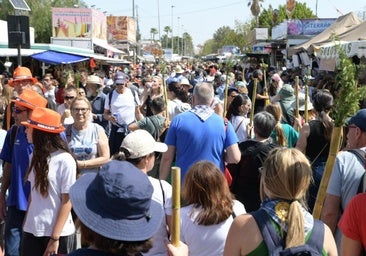 Almendras garrapiñadas, estampitas y caña de azúcar: lo tradicional sigue triunfando en el mercadillo de Santa Faz