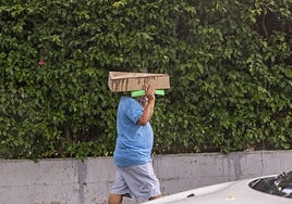 Un hombre se protege con un cartón de la lluvia en Alicante.