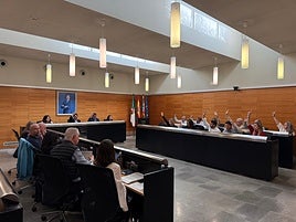 Votación en el Pleno de San Vicente del Raspeig.