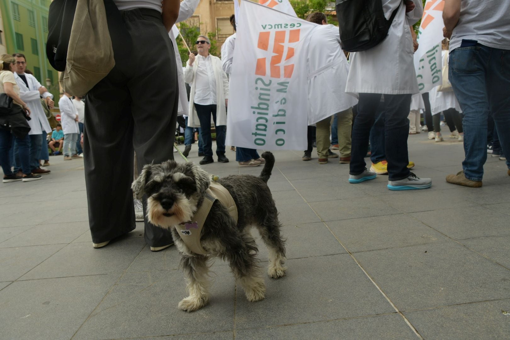 Los médicos de Alicante vuelven a las calles y siguen amenazando con ir a la huelga