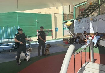La unidad canina de la Policía Local de Alicante visita a los niños ingresados en el Hospital Doctor Balmis