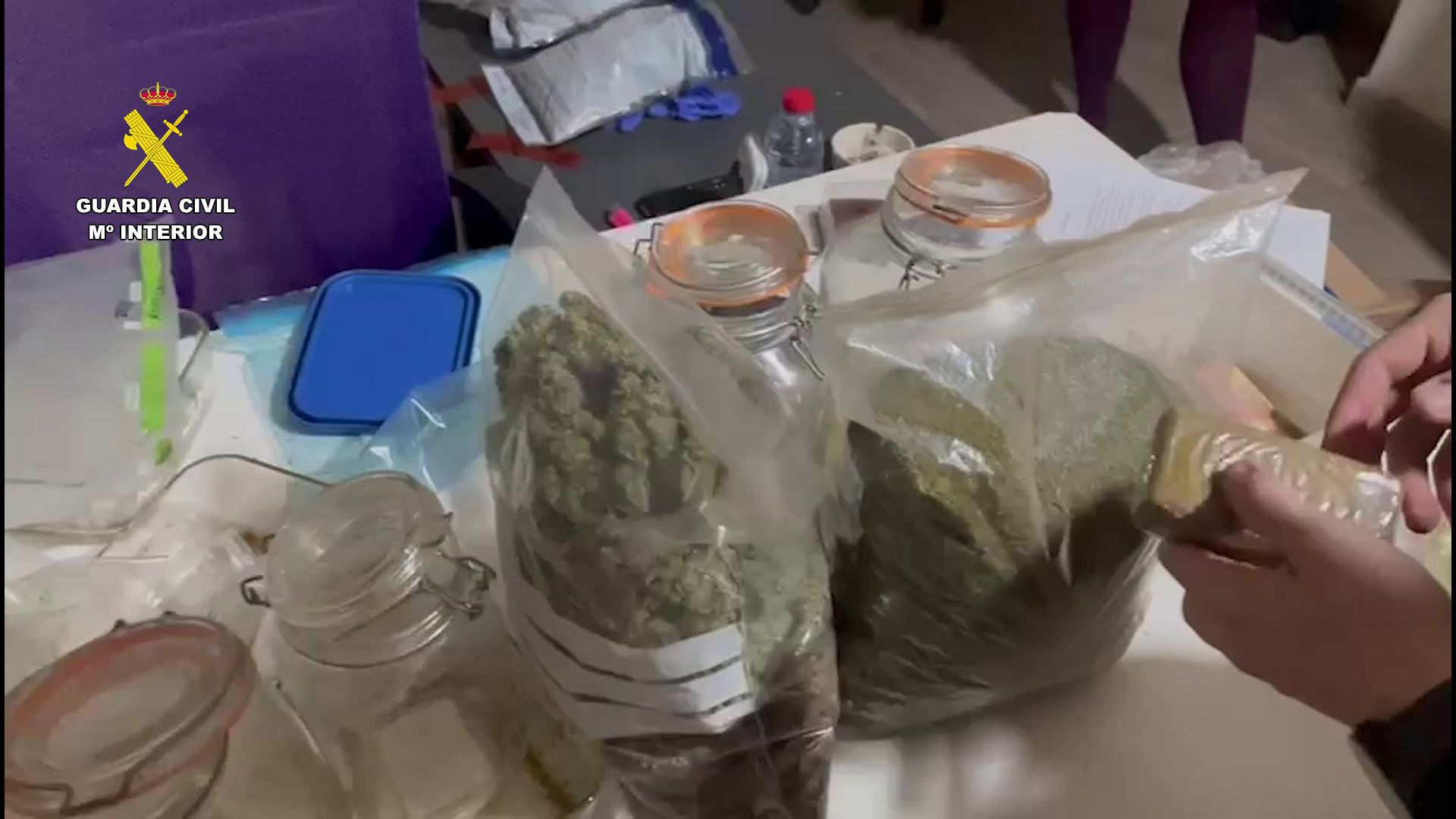 Seventeen Members of a Gang Arrested for Trafficking Marijuana from Six Cannabis Associations in Vega Baja