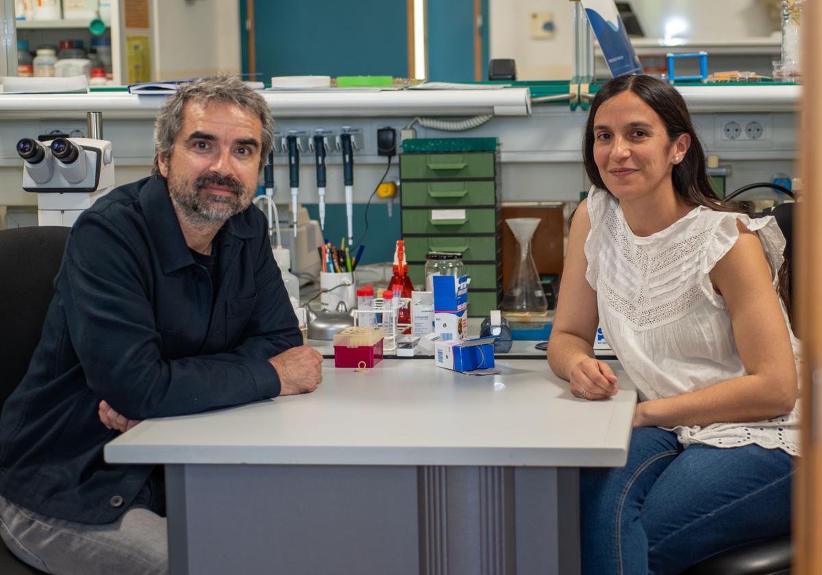 Neuroscience UMH Works to Predict Risk of Most Common Reproductive Disorder in Women