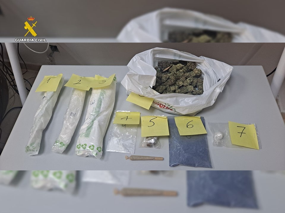 Imagen principal - Golpe al tráfico de marihuana: intervenidas 85 plantas y cerca de 3000 gramos de cogollos en un piso de Alicante