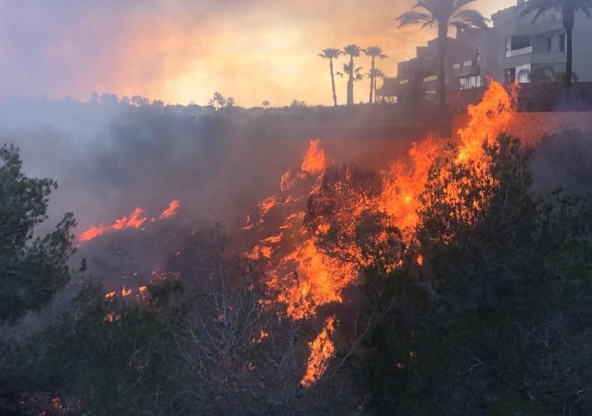Image of the fire.
