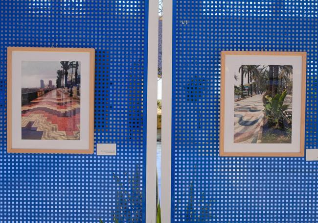 Alamedas y paseos de Orán y Alicante con similitudes.