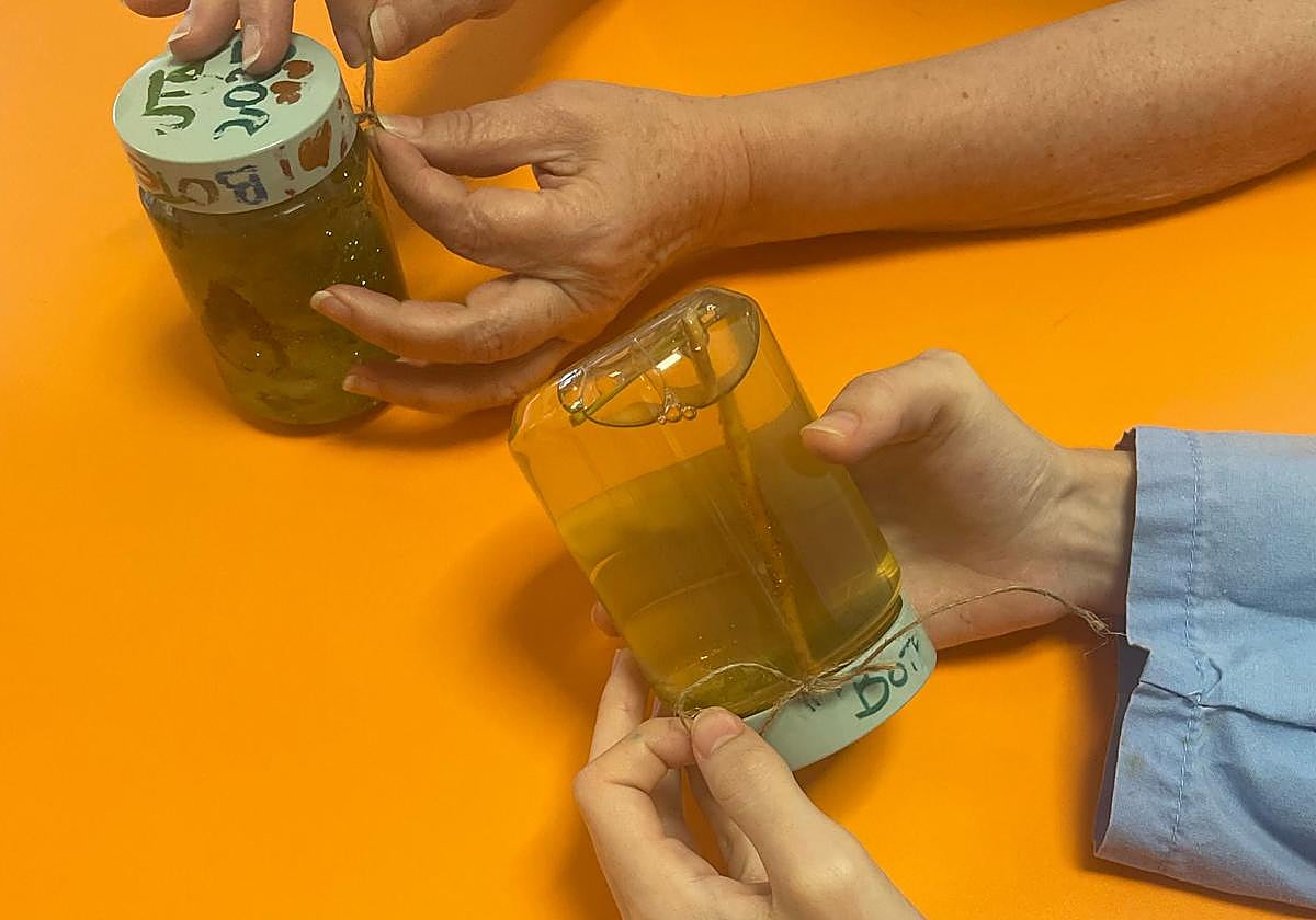 Los tarros de cristal con los que se lleva a cabo esta particular terapia.