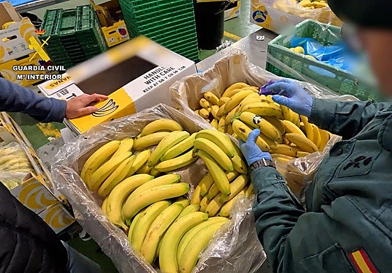 La Guardia Civil, durante una inspección rutinaria en una empresa alicantina, ajena al caso denunciado.