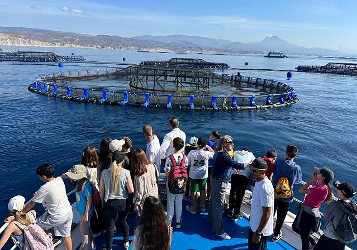 Escolares de El Campello visitan una piscifactoría.