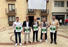 Campaña de las peñas del Elche en apoyo al ascenso del equipo.