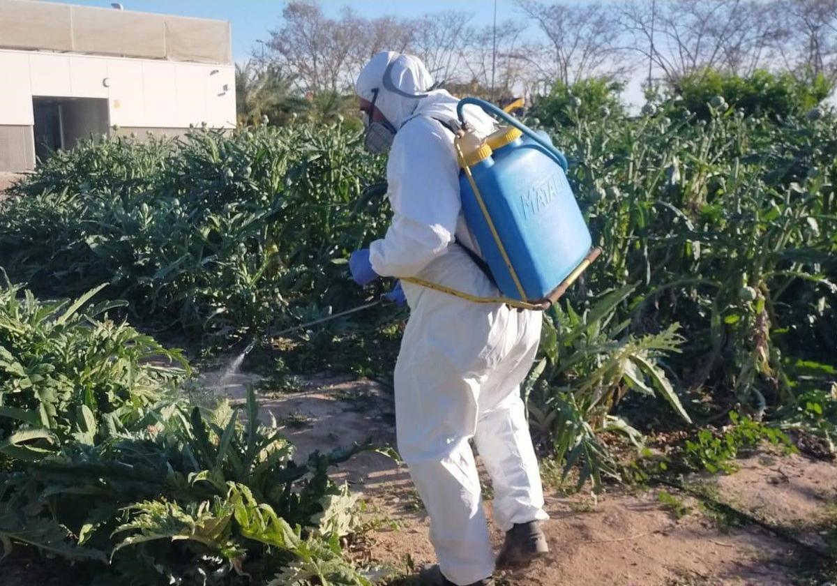 Un agricultor fumigando una plantación.