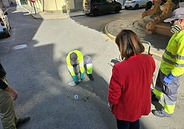 Trabajos en el alcantarillado para prevenir plagas en el término de Orihuela.