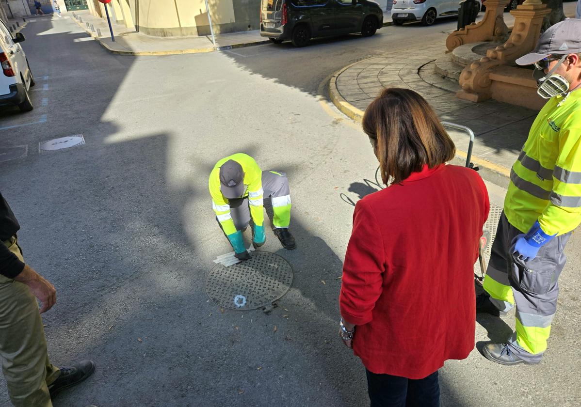 Trabajos en el alcantarillado para prevenir plagas en el término de Orihuela.