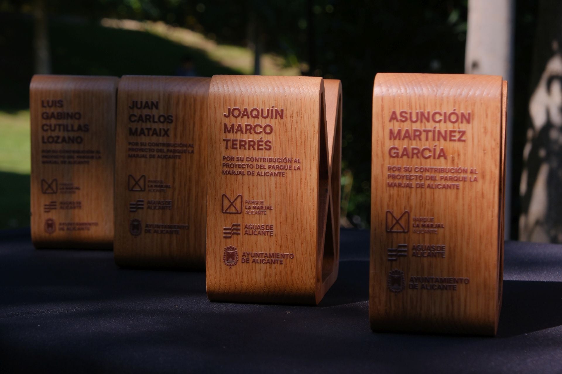 Alicante reconoce a los creadores del parque inundable de La Marjal