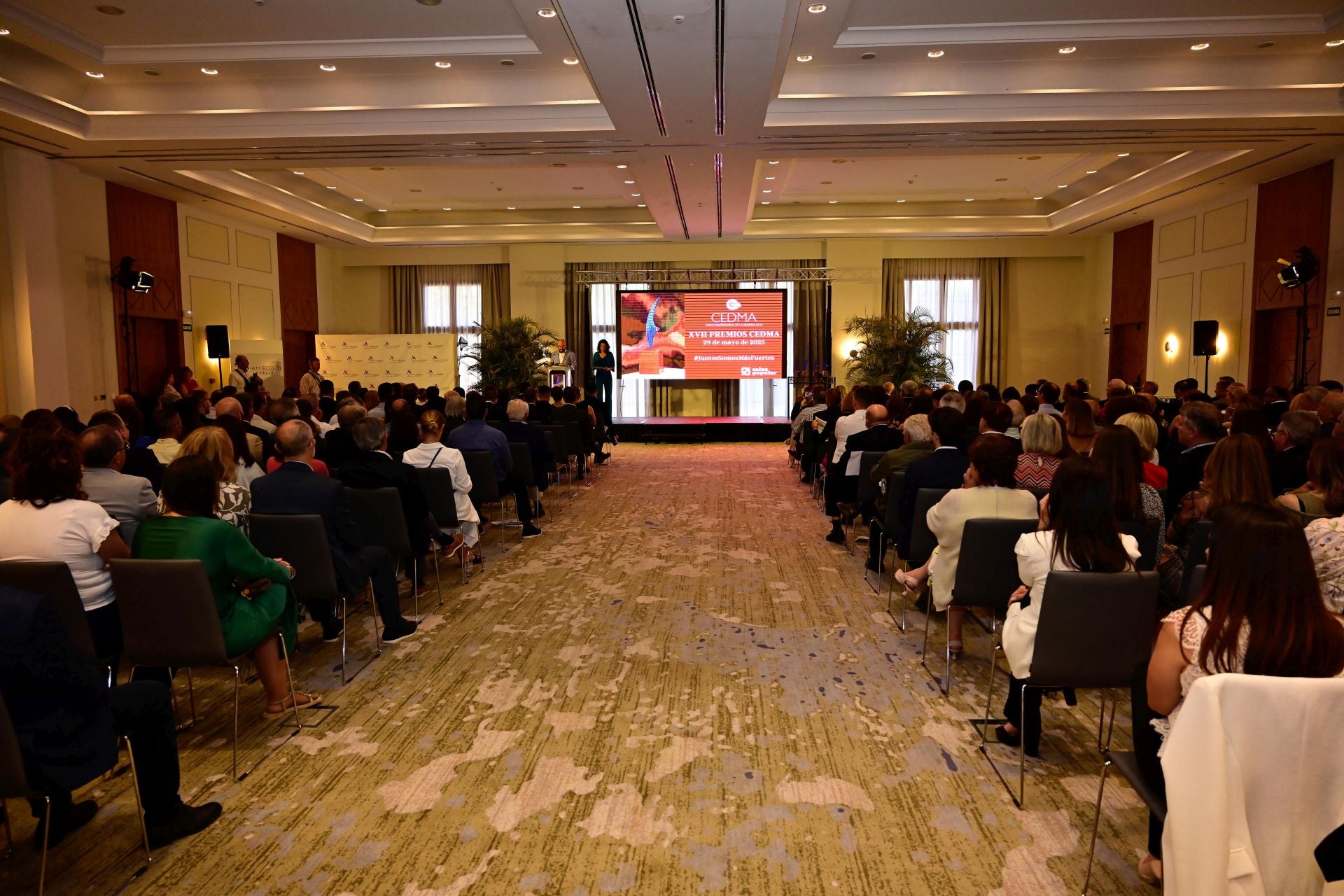 Premios CEDMA 2025