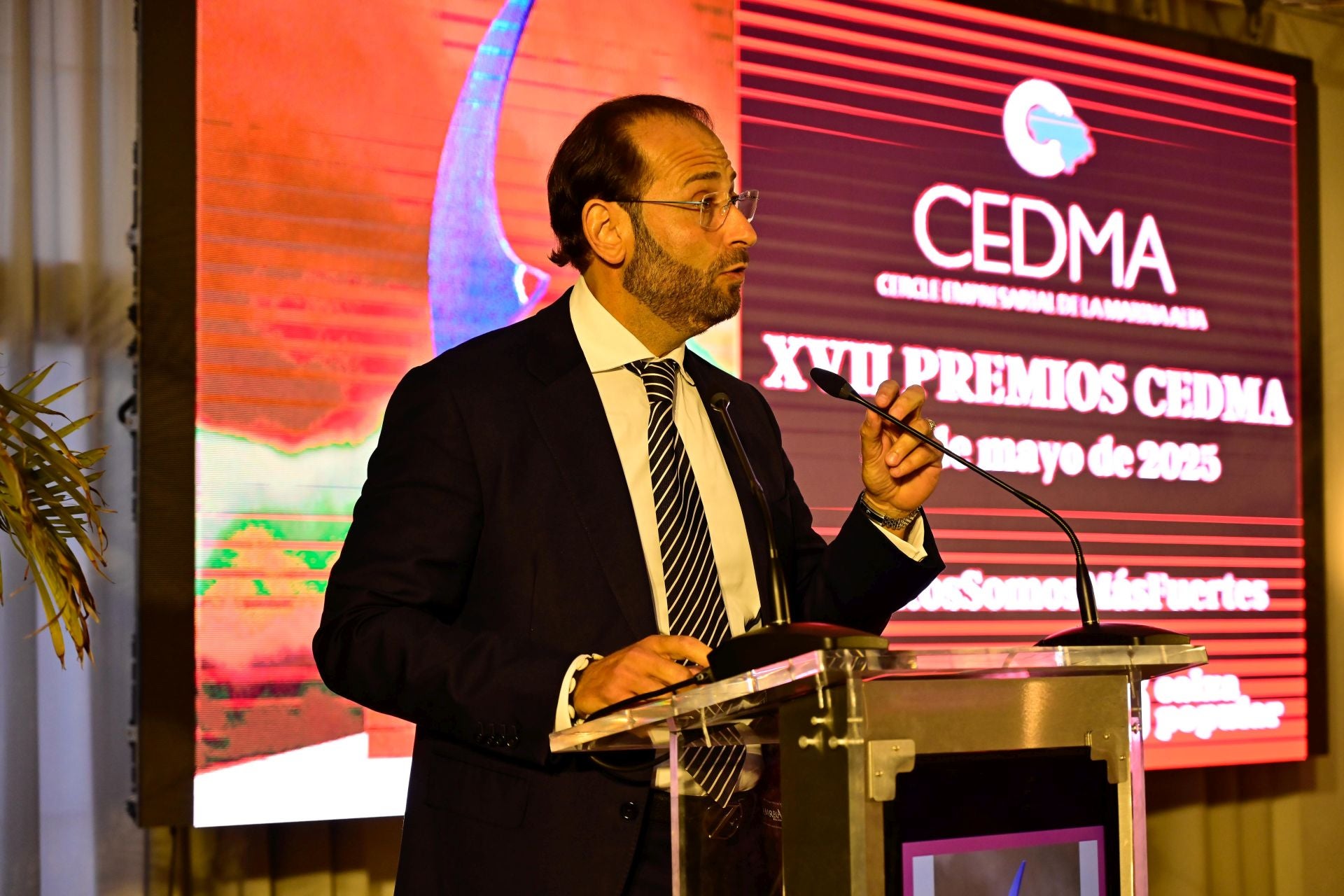 Premios CEDMA 2025