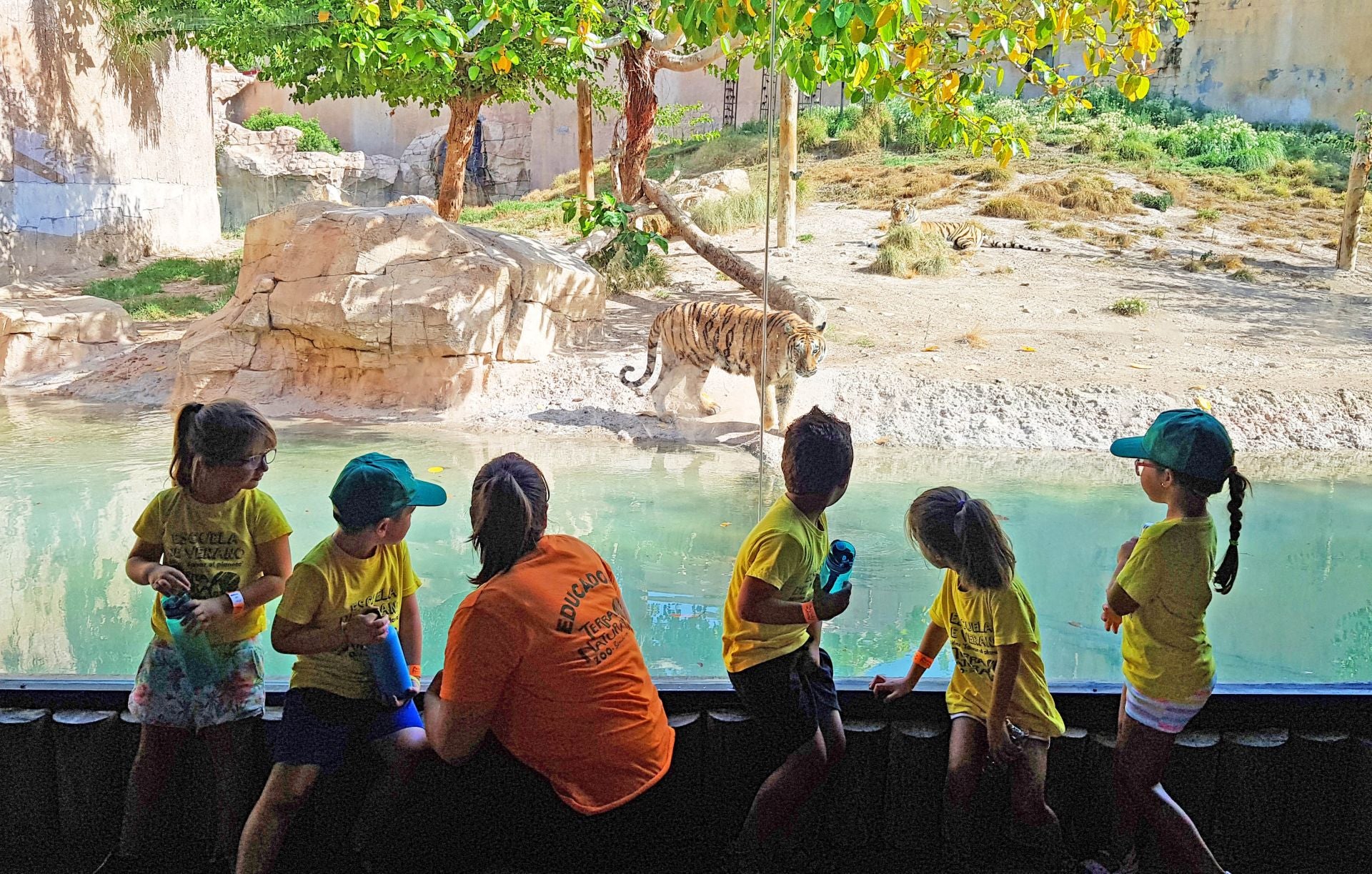 Imagen principal - Terra Natura Benidorm Launches New Edition of Summer School