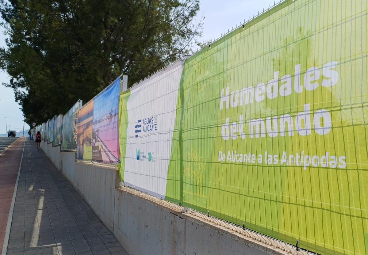 Exhibition on wetlands at La Marjal Park.