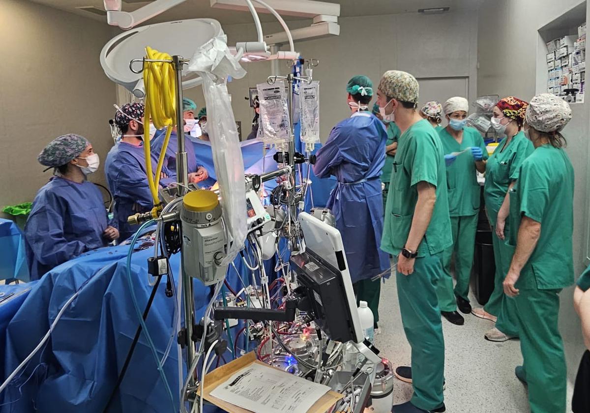 Image of the first controlled asystole heart explant at Dénia Hospital