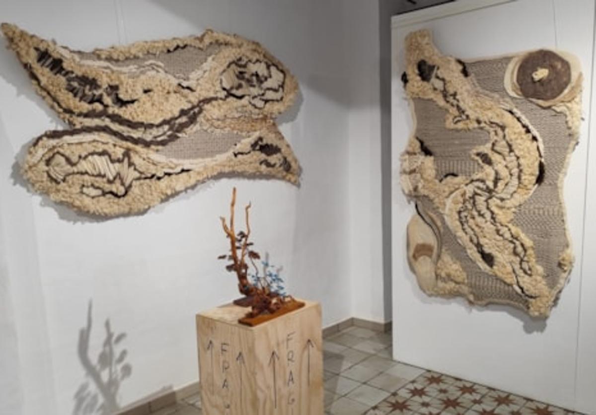 Materiales naturales convertidos en arte: la exposición de Fundació Baleària en Dénia