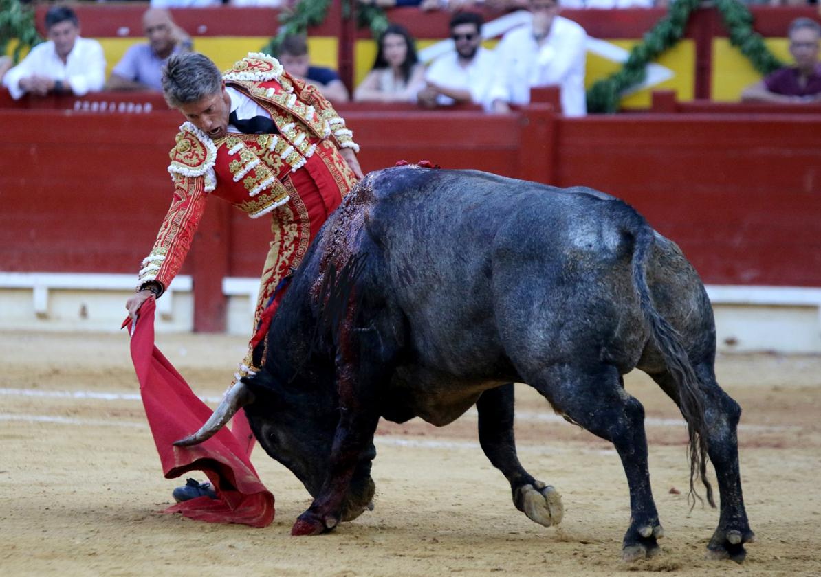 Boliviano-1 takes the muleta from Manuel Escribano with humility and dedication on the afternoon of June 24, 2024.