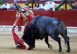 Boliviano-1 toma, con humillación y entrega, la muleta de Manuel Escribano en la tarde del 24 de junio de 2024.