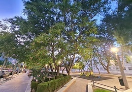 Alumbrado del parque del Centro Social Severo Ochoa.