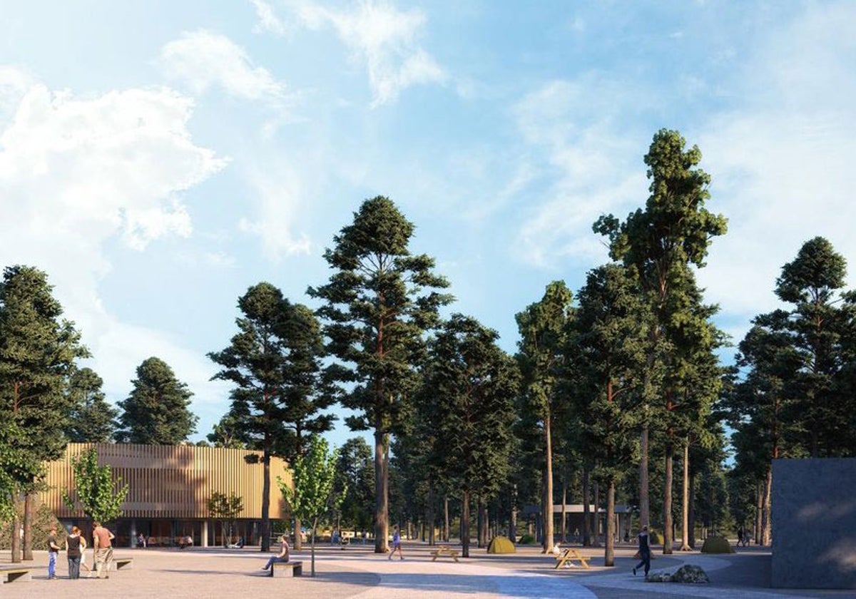 Image of the Sequia Mare park