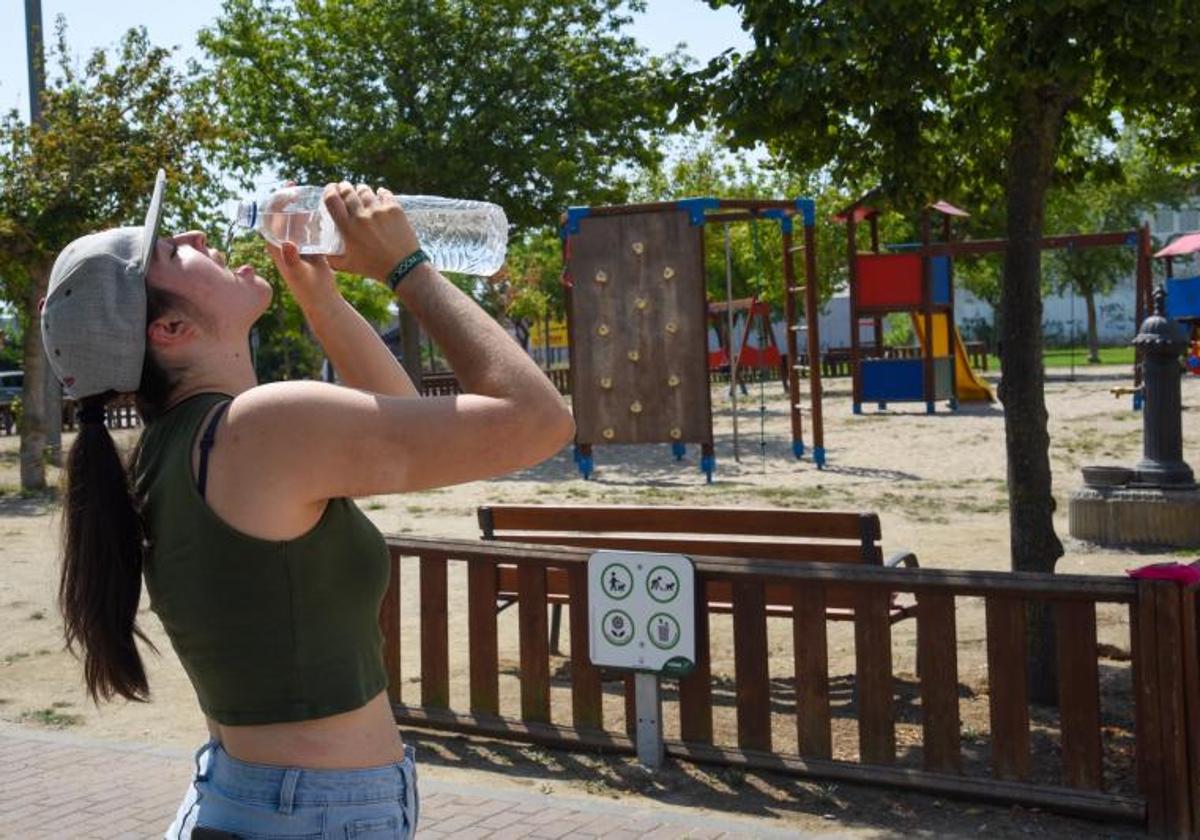 The Five Most Important News Stories from Alicante on Monday, 16th June