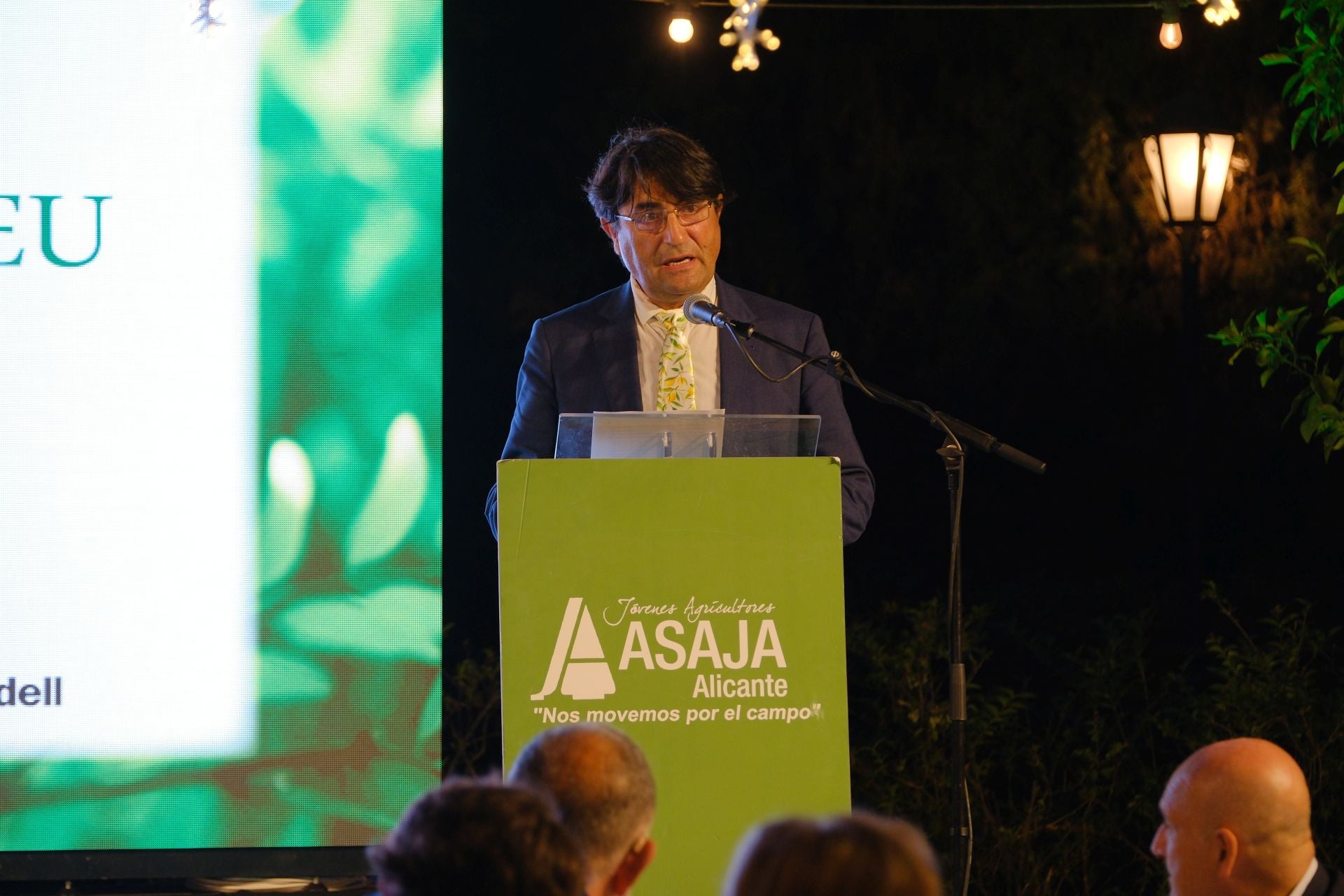 Las mejores imágenes de la Noche de la Agricultura Alicantina