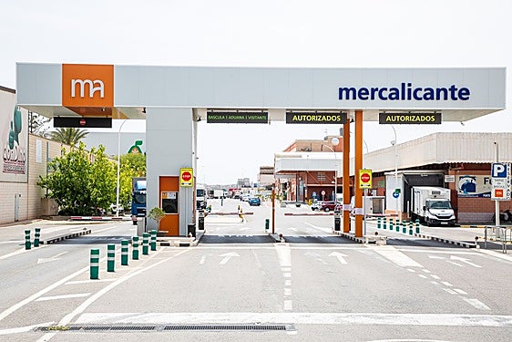 Entrada de Mercalicante.