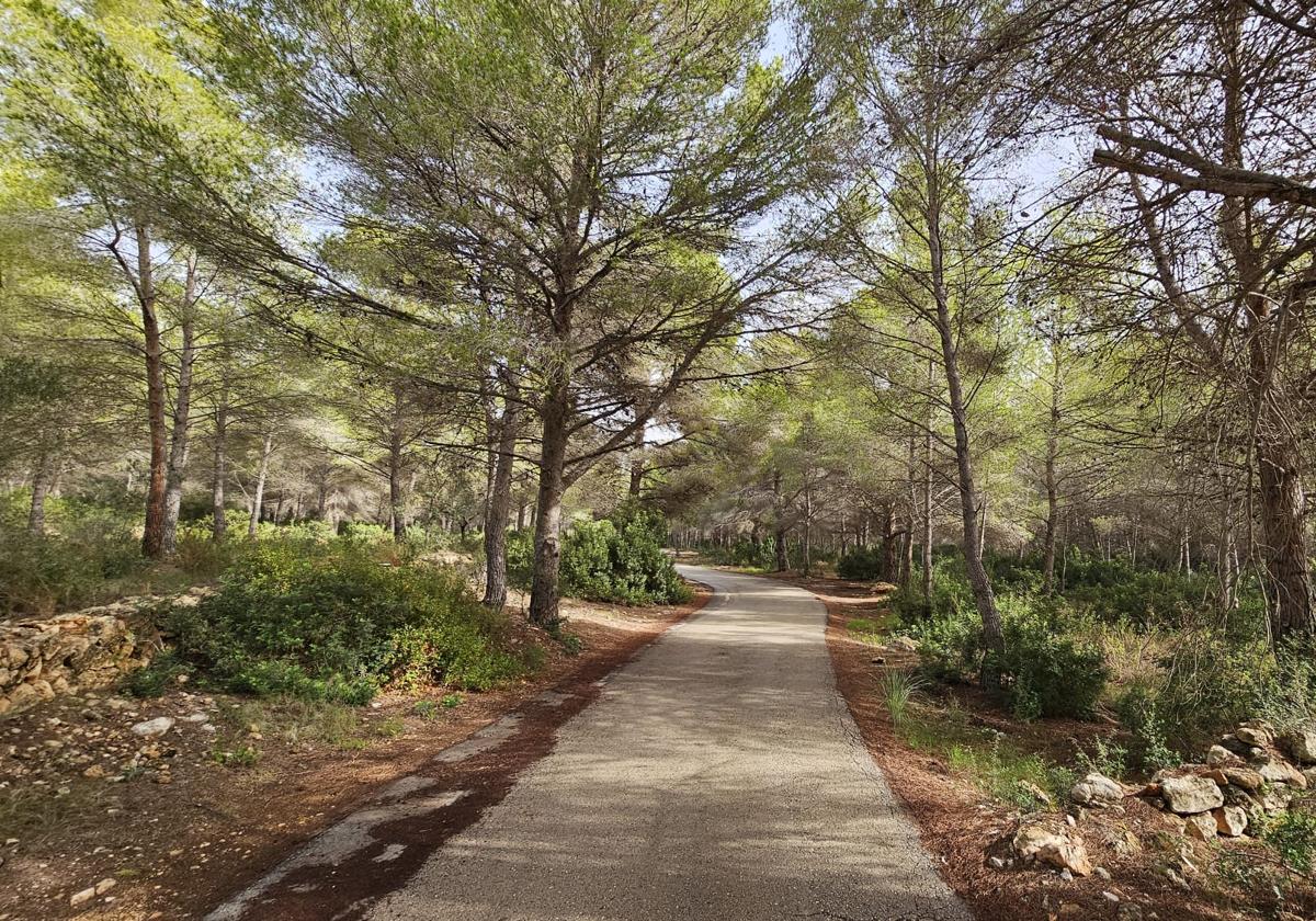El nuevo pulmón verde en un municipio de Alicante.