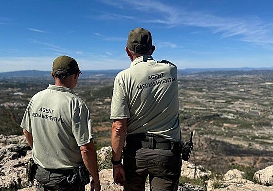 La Generalitat destina más de 20 millones para la prevención de incendios en 2025
