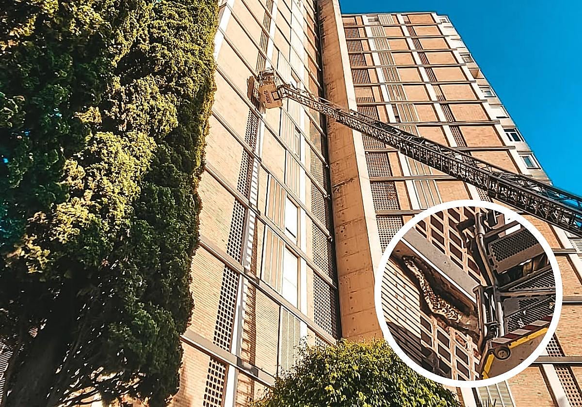 Los bomberos retiran una colmena en un edificio de Vistahermosa.